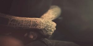 Read more about the article How Tattoos Can Boost Your Immune System